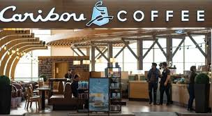 Caribou Coffee surveys,